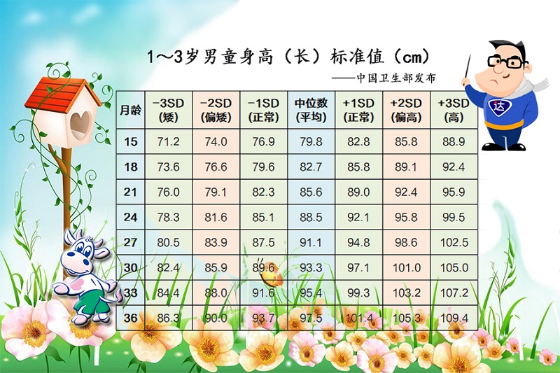1-3岁男童身高尺度值.jpg